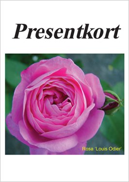 Inflyttningspresent eller kanske födelsedag?